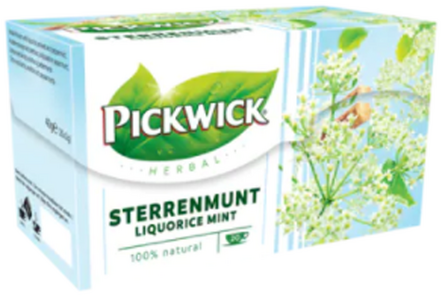 Pickwick Tee Krauseminze Kr&auml;uter/ Pickwick Sterrenmunt 